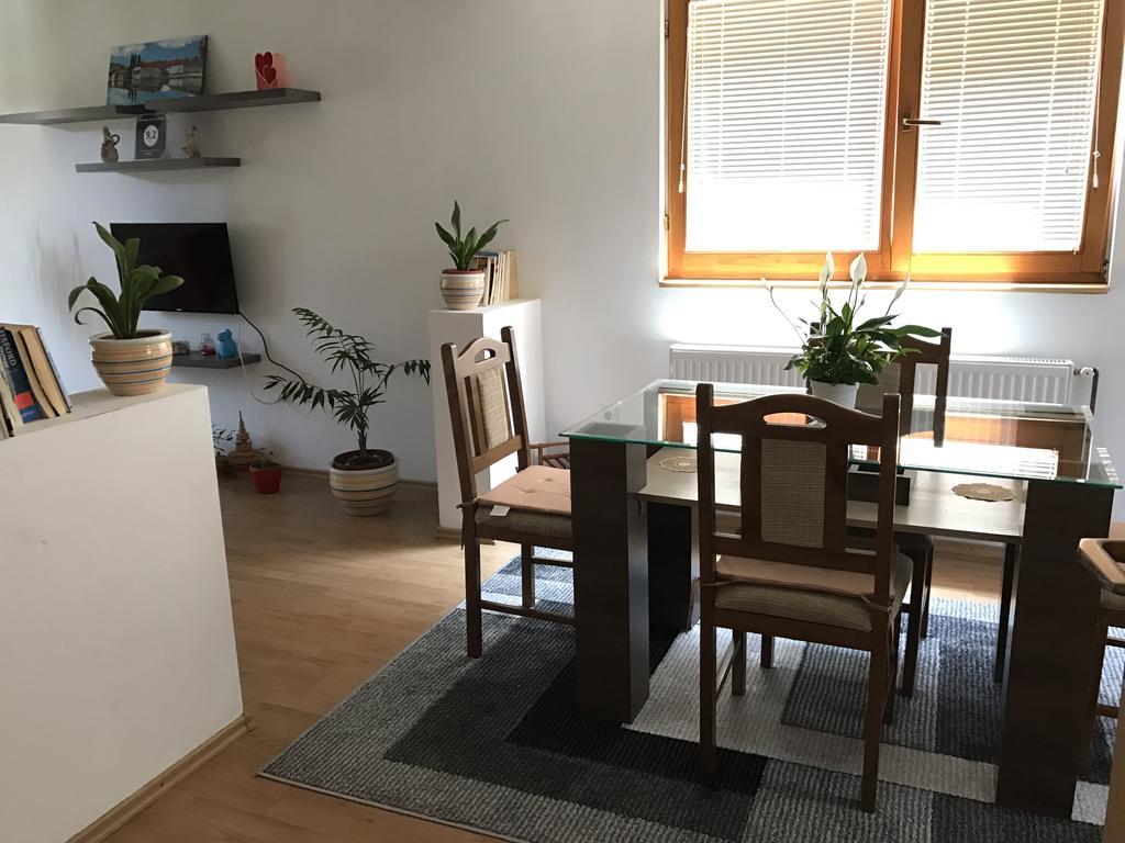 Apartment Near The Airport 사라예보 외부 사진